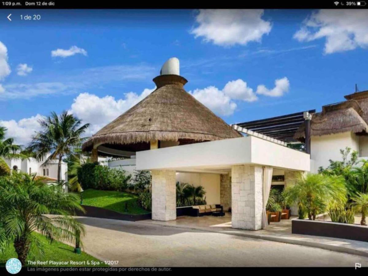 Spectacular Ph In Playacar - Private Rooftop, Pool By Yeah Playa del Carmen Eksteriør bilde